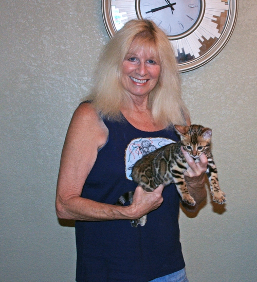 Bengal Kittens for sale