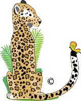 Bengal Cat Illustration