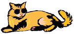 Cat In Sunglasses