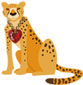 Cheetah