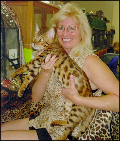Bengal Kittens